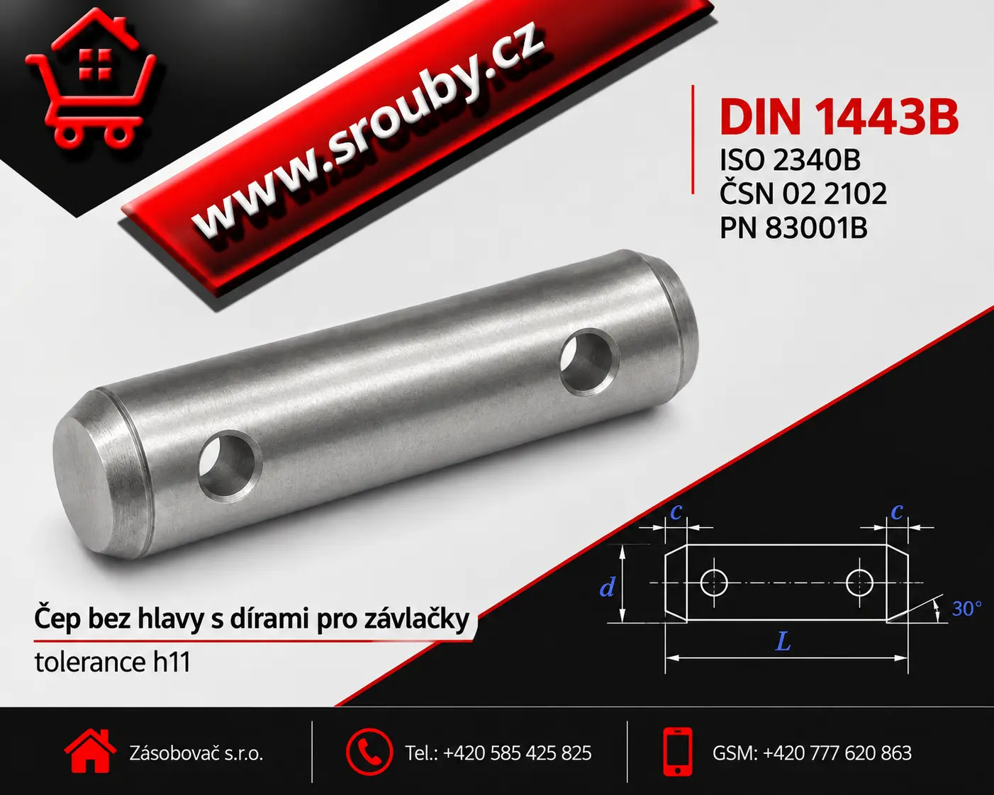 P 5x 20 DIN 1443B - A2 nerez - Čep bez hlavy s dírami pro závlačky , tolerance h11
