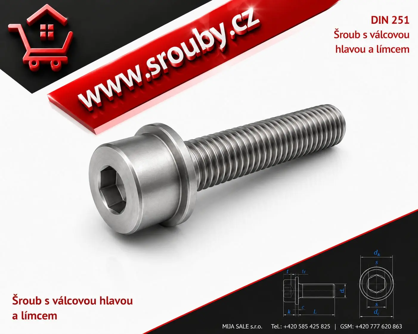 DIN 251 - M 8x 30 - 8.8 - zinek bílý - Šroub s válcovou hlavou inbus a límcem