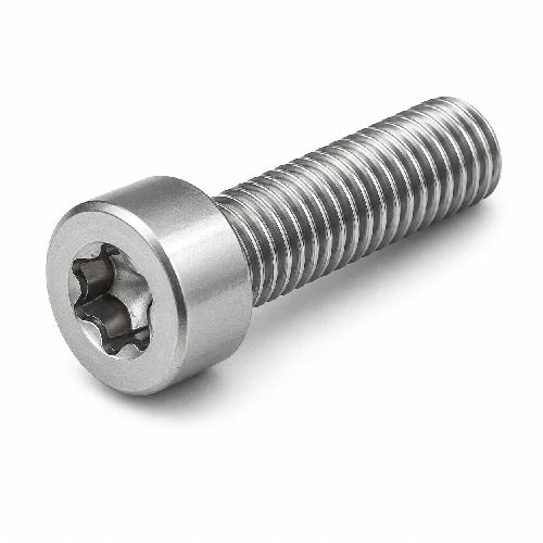 s válcovou hlavou na torx